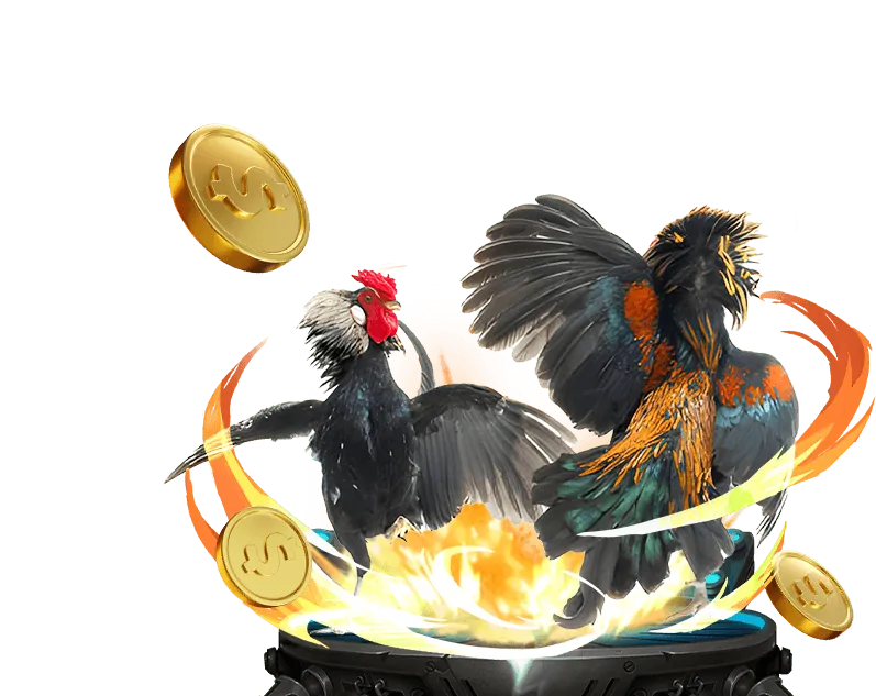 Các loại gà chọi và trận đấu đá gà trực tuyến