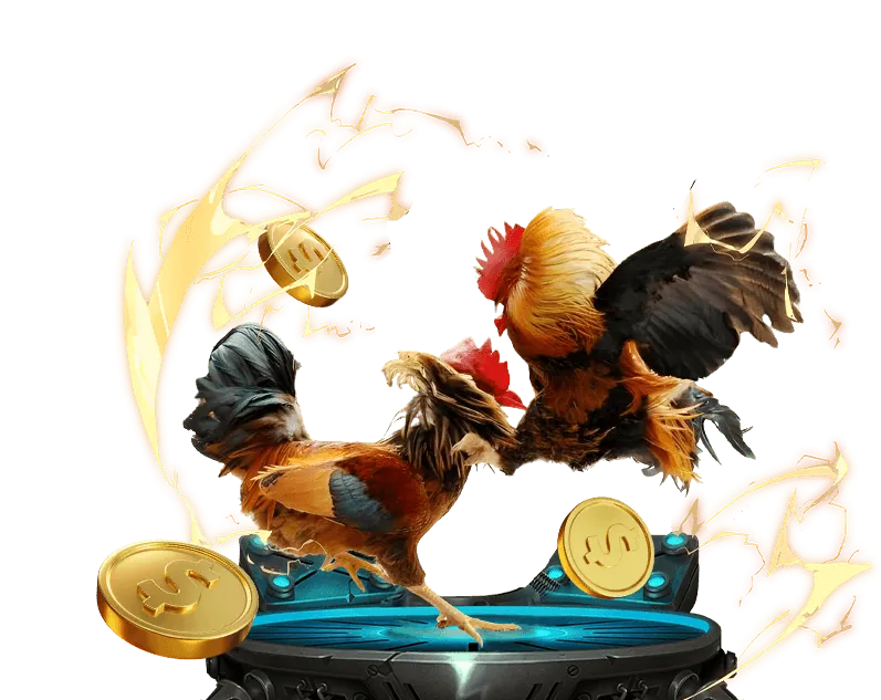 Các bước đăng ký tài khoản vn88 io